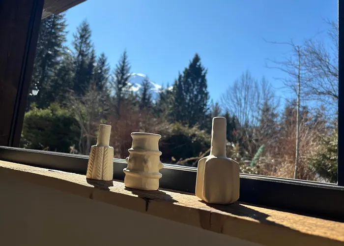 Alpehytte Le 1853 Chamonix