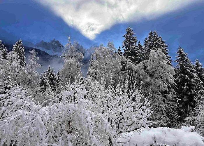 Horská chata Le 1853 Chamonix